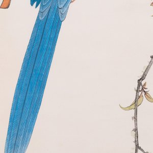 Attribué à Tian Shiguang 田世光 (1916-1999): 'Perroquet', encre et couleurs sur papier, daté 1944 — photo 6