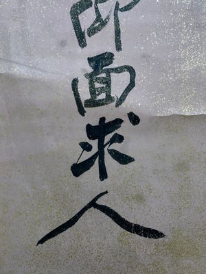 Attribué à Zhang Daqian 張大千 (1898-1983): 'Deux oeuvres de calligraphie verticale', encre sur papier éclaboussé d'or — photo 32