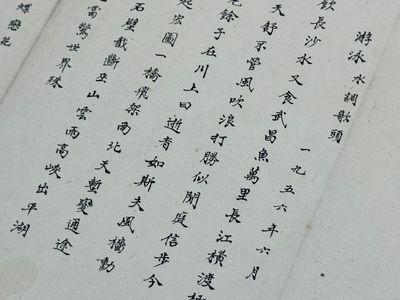 Ba Jin 巴金 (1904-2005): 'Calligraphy', ink on paper — foto 23
