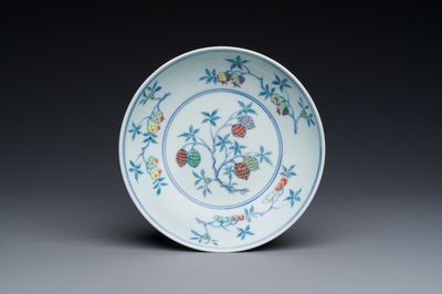 Belle coupe en porcelaine de Chine doucai à décor de fruits, Kangxi