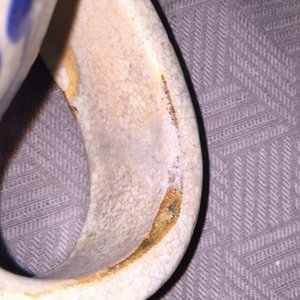 Blauw, geel en witte siroopkan in vroeg Antwerpse majolica met sgraffiato decor, 1540-1580 — foto 14