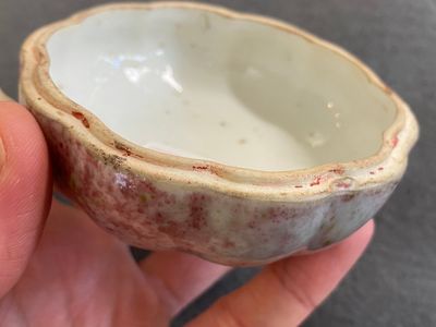 Boîte couverte en forme de citrouille en porcelaine de Chine à émail dit 'fleur de pêche', 19ème — photo 4