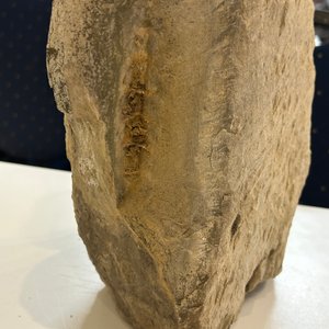 Buste d'homme maçonnique en pierre sculptée, probablement France, 18ème — photo 13