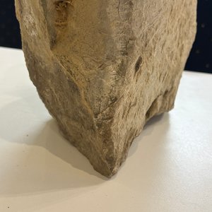 Buste d'homme maçonnique en pierre sculptée, probablement France, 18ème — photo 14