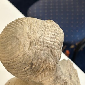 Buste d'homme maçonnique en pierre sculptée, probablement France, 18ème — photo 16