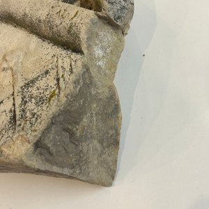 Buste d'homme maçonnique en pierre sculptée, probablement France, 18ème — photo 5