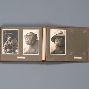 Casimir Zagourski (1883-1944): Album de 90 photos de la série 'L'Afrique qui disparaît', 1ère moitié du 20ème — photo 22