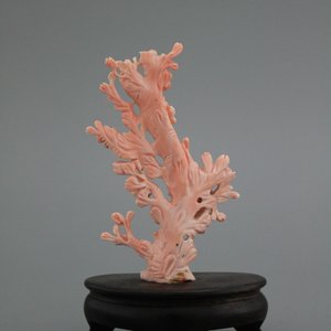 Chinees bloedkoralen groepje met bloemen en vogels, 19/20e — foto 2