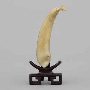 Chinees kalebasvormig snuifflesje in gesculpteerde ivoor, Qing-dynastie — foto 1