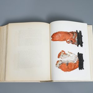 'Chinese porcelain and hardstones', E. Gorer & J.F. Blacker, 1911 — foto 19