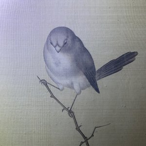 Chinese school, 19e eeuw, inkt en kleur op zijde: 'vogels bij bloesemtakken' — foto 11