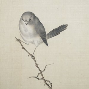 Chinese school, 19e eeuw, inkt en kleur op zijde: 'vogels bij bloesemtakken' — foto 2