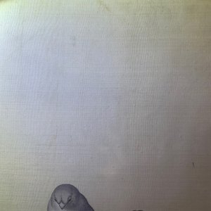 Chinese school, 19th C., ink and colour on silk: 'birds on blossoming branches' — photo 9