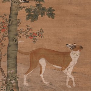 Chinese school, after Giuseppe Castiglione 郎世寧 (1688-1766): 'Hound under the sycamore tree', ink and colour on silk, Qianlong seal mark,18/19th C. — foto 1