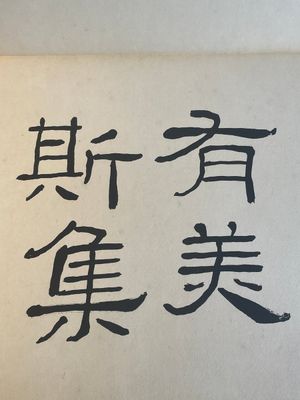Chinese school: 'Album with eight various works', ink and colour on paper, 20th C. — 照片 13