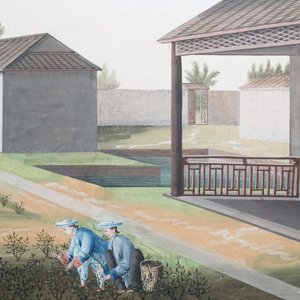 Chinese school, Canton, aquarel op papier, 19e eeuw: Vier scènes met de theeproductie — foto 9