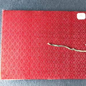 Chinese school, Canton, inkt en kleur op rijstpapier, 19e eeuw: collectie van 39 tekeningen in zes albums — foto 24