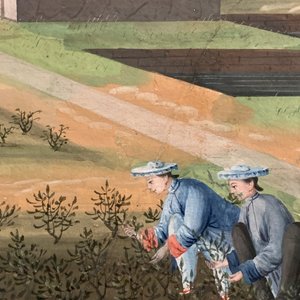 Chinese school, Canton, watercolour on paper, 19th C.: Four tea production scenes — photo 15