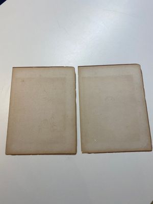 Chinese school: Dertien diverse werken, inkt en kleur op papier en zijde, gesigneerd Xiaocun 晓邨 en Futing 富廷, 19/20e eeuw — foto 4