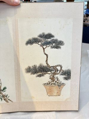 Chinese school: 'Flowers and calligraphies', writings with signatures of celebrities, ink and colour on paper — photo 4