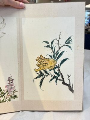 Chinese school: 'Flowers and calligraphies', writings with signatures of celebrities, ink and colour on paper — photo 10