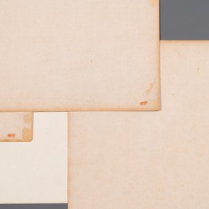 Chinese school: Four fan-shaped paintings, ink and colour on paper, signed Bosheng 博生, 19/20th C. — 照片 6