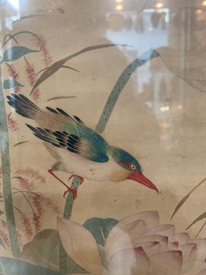 Chinese school: 'Four works with birds and insects near blossoming branches', ink and colour on paper, Republic — 照片 23
