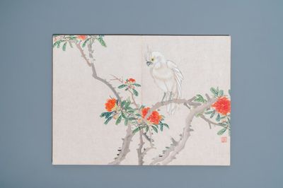 Chinese school, ink and color on paper: an album with eleven birds and a squirrel, 19/20th C.
