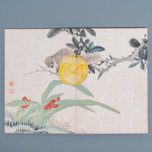 Chinese school, ink and color on paper: an album with eleven birds and a squirrel, 19/20th C. — photo 12