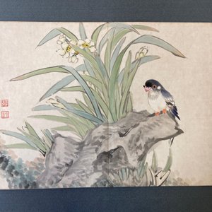 Chinese school, ink and color on paper: an album with eleven birds and a squirrel, 19/20th C. — photo 15