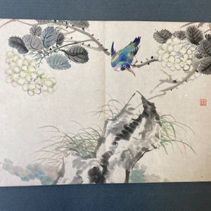 Chinese school, ink and color on paper: an album with eleven birds and a squirrel, 19/20th C. — photo 17