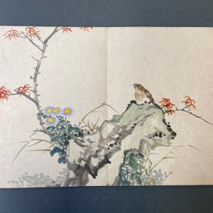 Chinese school, ink and color on paper: an album with eleven birds and a squirrel, 19/20th C. — photo 20