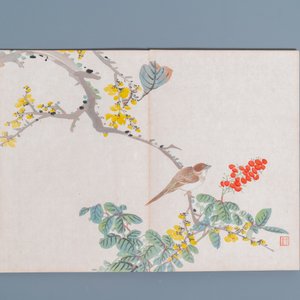 Chinese school, ink and color on paper: an album with eleven birds and a squirrel, 19/20th C. — photo 2