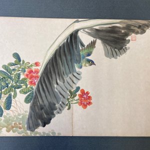 Chinese school, ink and color on paper: an album with eleven birds and a squirrel, 19/20th C. — photo 21