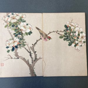 Chinese school, ink and color on paper: an album with eleven birds and a squirrel, 19/20th C. — photo 23