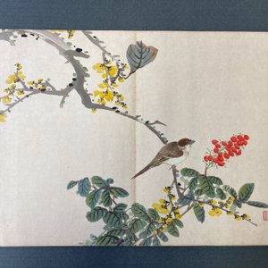 Chinese school, ink and color on paper: an album with eleven birds and a squirrel, 19/20th C. — photo 25