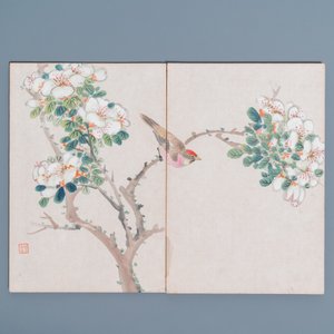 Chinese school, ink and color on paper: an album with eleven birds and a squirrel, 19/20th C. — photo 4