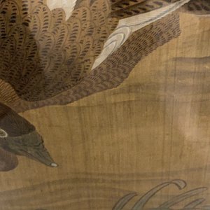Chinese school, ink and color on silk: 'Ducks and birds near the water', late Ming/early Qing — photo 12