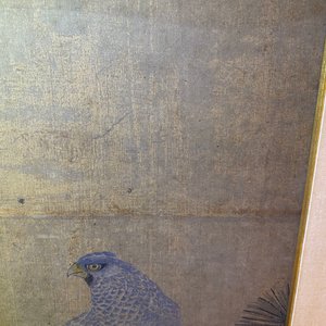 Chinese school, ink and colours on silk, 17/18th C.: 'A hunting falcon' — 照片 18