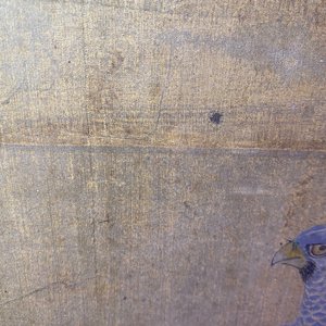 Chinese school, ink and colours on silk, 17/18th C.: 'A hunting falcon' — 照片 21