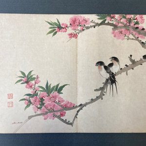 Chinese school, inkt en kleur op papier: album met elf vogels en een eekhoorn, 19/20e eeuw — foto 18