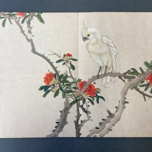 Chinese school, inkt en kleur op papier: album met elf vogels en een eekhoorn, 19/20e eeuw — foto 19