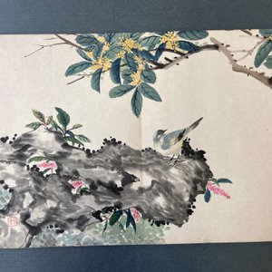 Chinese school, inkt en kleur op papier: album met elf vogels en een eekhoorn, 19/20e eeuw — foto 22