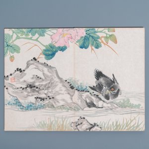 Chinese school, inkt en kleur op papier: album met elf vogels en een eekhoorn, 19/20e eeuw — foto 3
