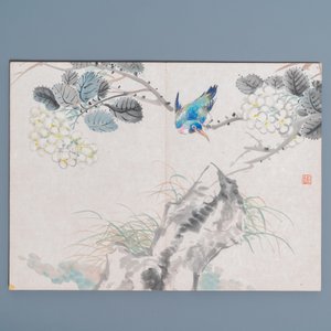 Chinese school, inkt en kleur op papier: album met elf vogels en een eekhoorn, 19/20e eeuw — foto 9