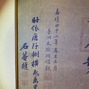 Chinese school, inkt en kleur op zijde, 17/18e eeuw: 'Een jachtvalk' — foto 13