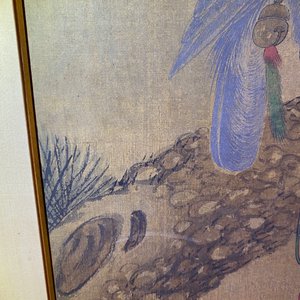 Chinese school, inkt en kleur op zijde, 17/18e eeuw: 'Een jachtvalk' — foto 32