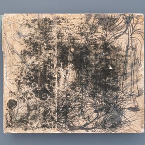 Chinese school, Qing, 19th C.: an album with 20 paintings, ink and color on silk, mounted on board — 照片 1