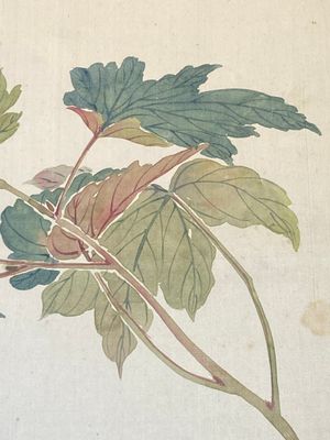 Chinese school: Seven works with birds and flowers, ink and colour on silk, signed Jinghan 景涵, 19/20th C. — 照片 31
