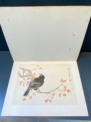 Chinese school: Seven works with birds and flowers, ink and colour on silk, signed Jinghan 景涵, 19/20th C. — 照片 32